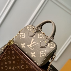 LV Speedy Bags